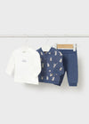 Newborn Boy Bunny 3 - Piece Tracksuit