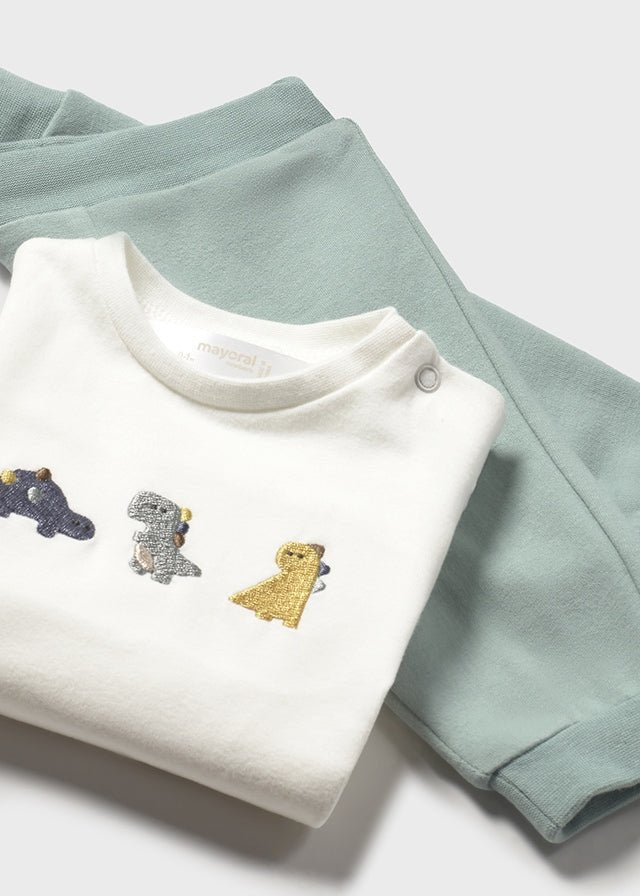 Newborn Boy Dinosaur 3 - Piece Tracksuit