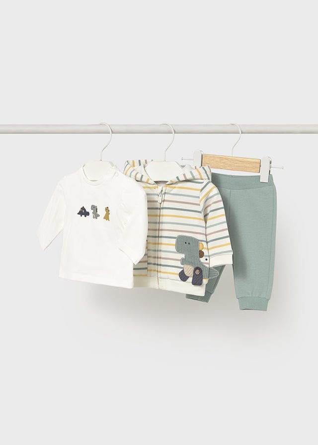 Newborn Boy Dinosaur 3 - Piece Tracksuit
