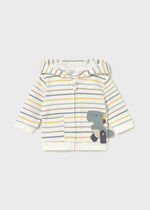 Newborn Boy Dinosaur 3 - Piece Tracksuit