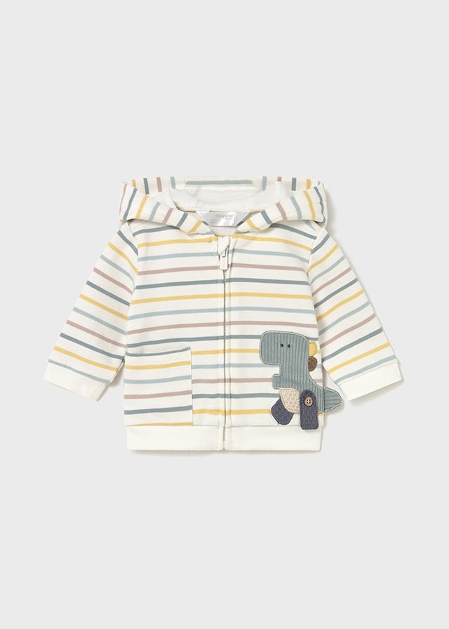 Newborn Boy Dinosaur 3 - Piece Tracksuit