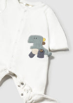 Newborn Boy Dinosaur Velour Babygrow