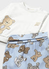 Newborn Boy Teddy Bear Print Set