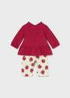 Newborn Girl 2 - Piece Apple Tracksuit