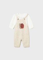 Newborn Girl Knit Dungarees Set with Sweater