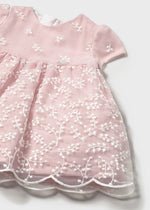 Newborn Girl Pink Embroidered Dress