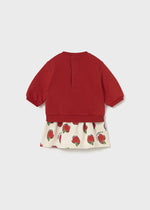 Newborn Girl Red Apple Knit Sets