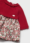 Newborn Girl Red & Floral Print Knit Dress