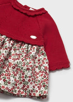 Newborn Girl Red & Floral Print Knit Dress