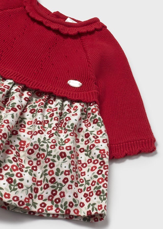 Newborn Girl Red & Floral Print Knit Dress