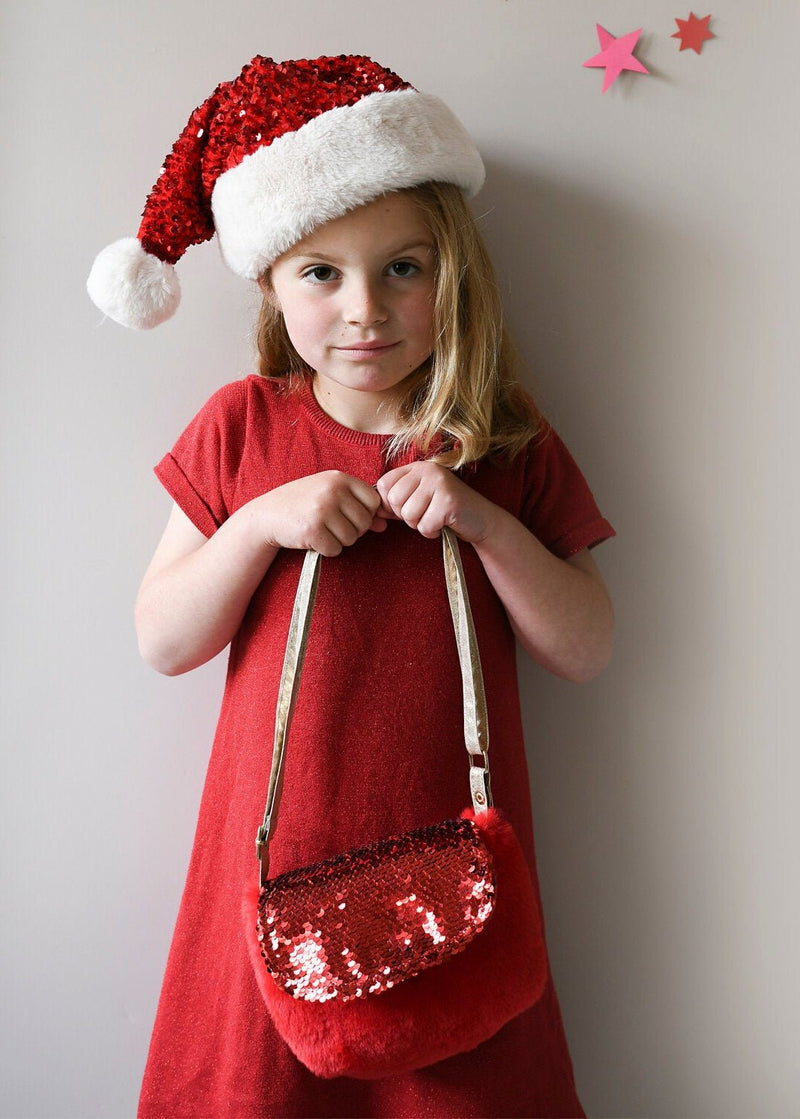 Sequin Velvet Bag