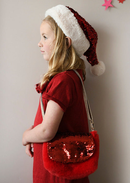 Sequin Velvet Bag
