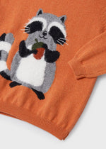 Boys Orange Raccoon Sweater (mayoral) - CottonKids.ie - 12 month - 18 month - 2 year