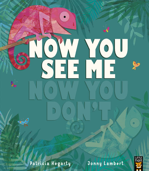 Now You See Me, Now You Don’t (Paperback) - CottonKids.ie - Story Books - -