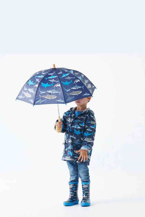 Shark School Umbrella (Hatley) - CottonKids.ie - UMBRELLA - Accessories - Boy - Coats & Jackets